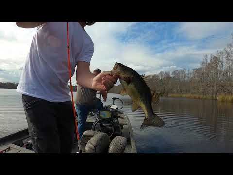 TIDAL RIVER BASS FISHING