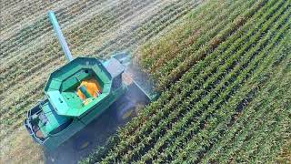 2017 NutraDrip Test Plot Results: Morrill, KS
