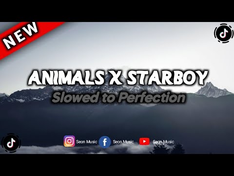 Animals X Starboy Slowed To Perfection