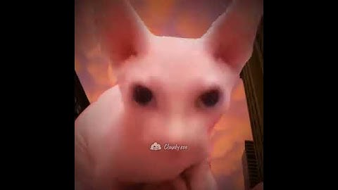 Floppa vs. Bingus - Official Trailer