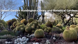 Walking Tour of the Biggest Desert Garden Located in Southern California