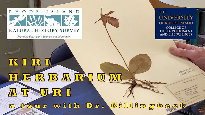 KIRI Herbarium at URI: A Tour with Dr. Killingbeck