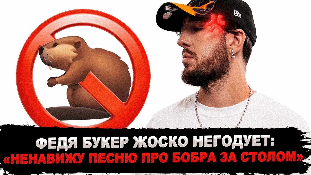 сидим с бобром за столом