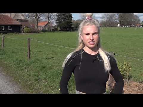 Hardloopster in billen