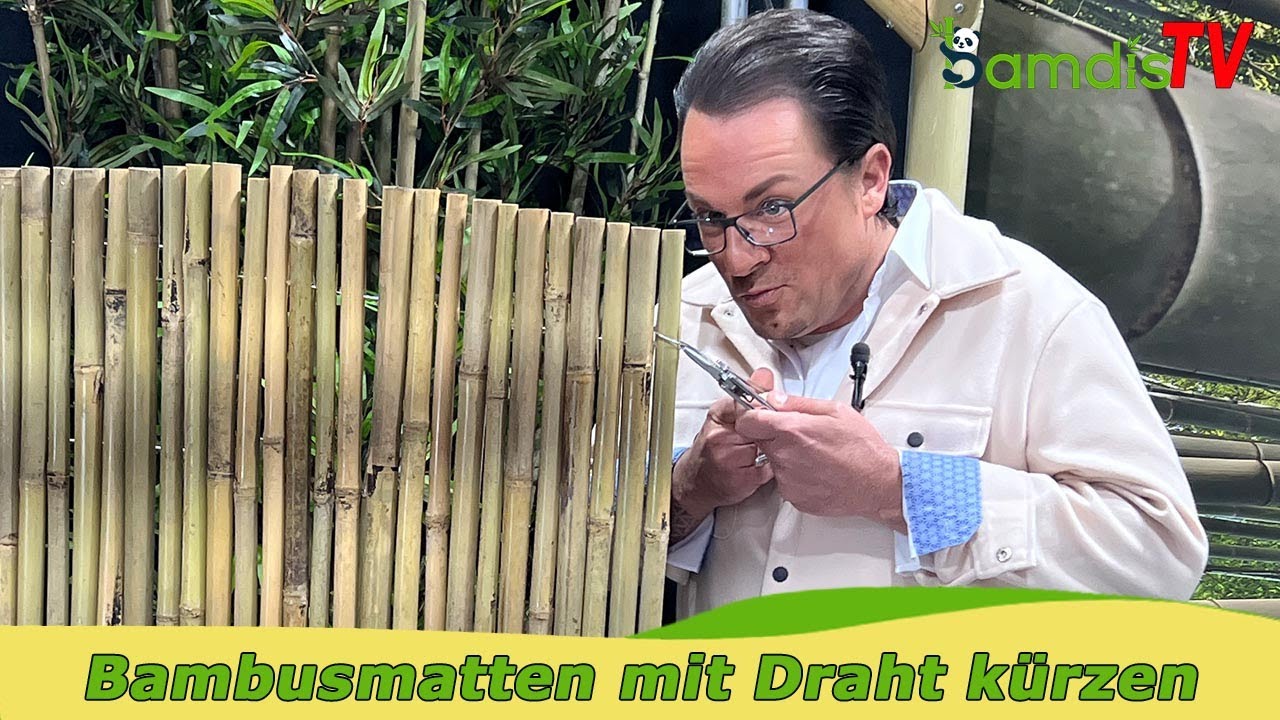 schädlinge am bambus Gelbsticker (10x Stück inkl. Bambusstäbchen)