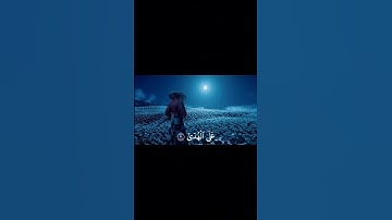 محمد صديق المنشاوي 🌿 | تلاوة مؤثرة من القرآن الكريم تريح القلب  #quran #اكسبلور #explore #حالات_واتس