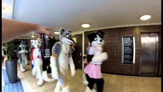 CFz13 - Confuzzled 2013