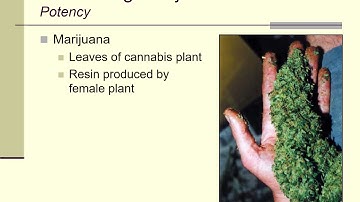Lecture 12a: marijuana (summer, 2017)
