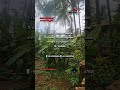 5 Cent Plot for sale | #realestate #landforsale #plotforsale #propertyforsale #home #calicut