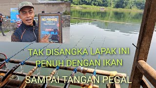 #mancingcirataterbaru2024 ACARA MABAR RIO FISHING DI CIPUTRI LAPAK BEBEK BIKIN PEGEL TANGAN