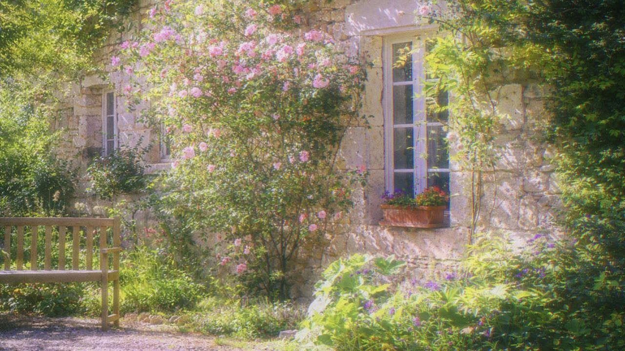 a quiet playlist for quiet morning at home🌿  (reading & studying)