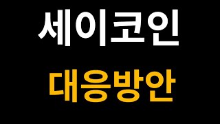 세이코인 전망 대응 방안 최초 공개
