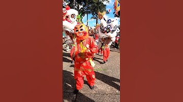 Múa Lân Ông Địa #ongdiavuive #mualandontet #mualanongdia #mualantrungthu #vuinhon #funny #bibitv