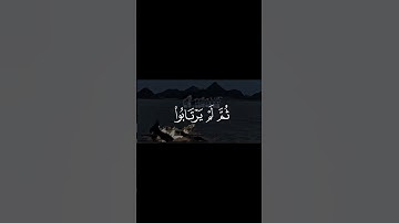 سورة الحجرات الآية (15) - الشيخ / احمد بن طالب .