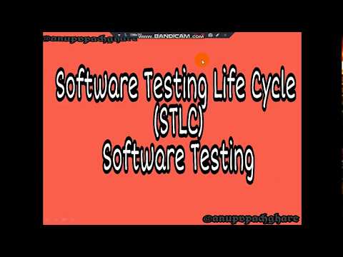 Software Testing Life