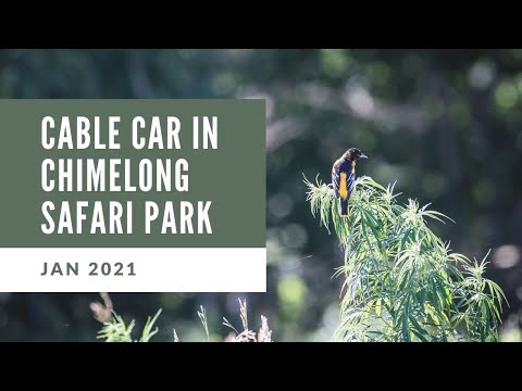 廣州長隆野生動物世界空中纜車 Exploring Chimelong Safari Park with Cable Car 2021 [4K]