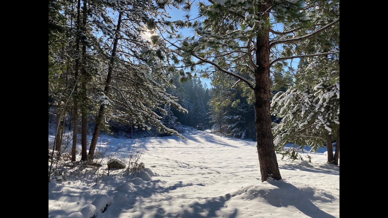 Winter Comes to the Mills Farm