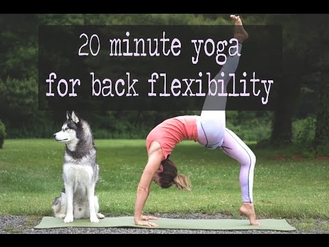 20 Minute Yoga for Back Flexibility