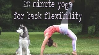 20 Minute Yoga for Back Flexibility