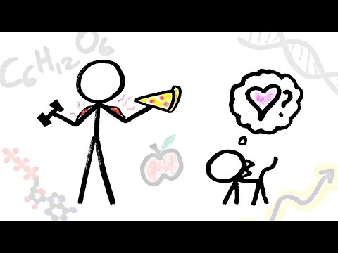 В чем смысл жизни? (5/5)