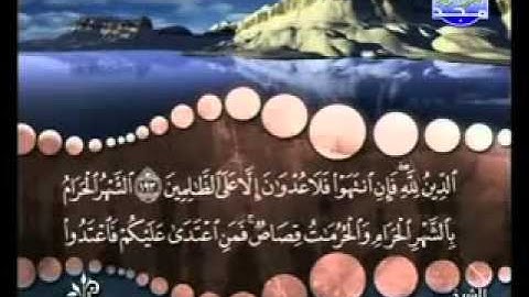 سورة البقرة من آية  193  إلى آية 194