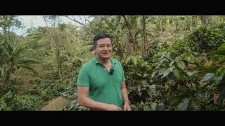 Inside the Craft: How This Farmer Elevates The Coffee Varietal, Java.