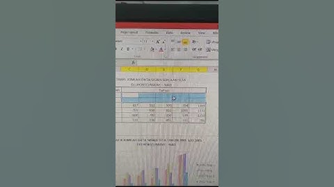 Cara menghapus warna baris dan garis pada tabel Excel (Tutorial Excel)