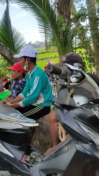 uyon uyon pemandangan #vidioshort #video #shorts #status #whatsappstatus