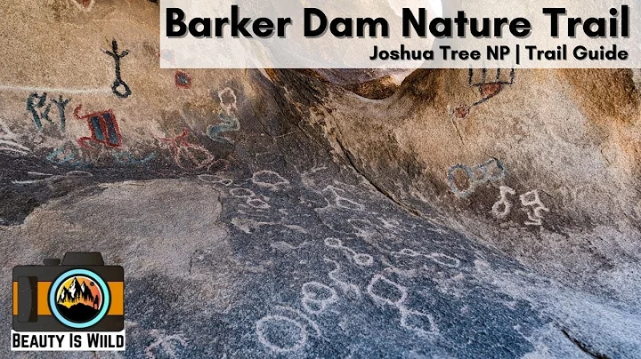 Barker Dam trail Joshua Tree National Park | Check...