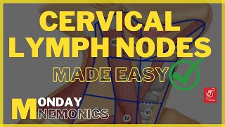 Cervical lymph nodes mnemonics in Tamil | Levels of cervical lymph nodes #cervical #nodes #lymph
