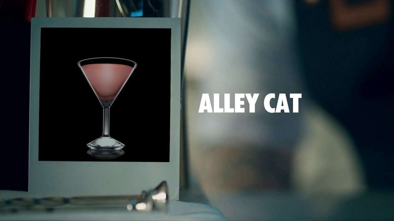 ALLEY CAT DRINK RECIPE HOW TO MIX YouTube