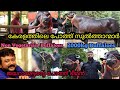 എത്ര ലക്ഷം കൊടുത്താലും ഇവരെ കൊടുക്കില്ല |Biggest Buffaloes in South India|Biggest Bulls in Kerala