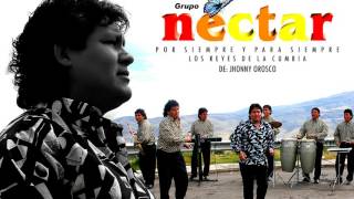 Video thumbnail of "Grupo Nectar - El Arbolito"