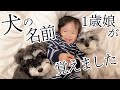 【癒し】娘が愛犬の名前を呼ぶ姿が可愛かった【シュナウザー】