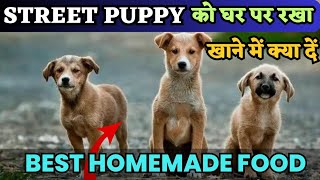 Street Puppy ko kya khilaye 🥕  Homemade Dog food india / Street Puppy food