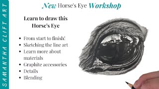 Horse Eye Workshop  Draw along with me and create your own Horse's Eye in graphite.