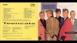 Teencats - Hard Rollin' Daddy chords