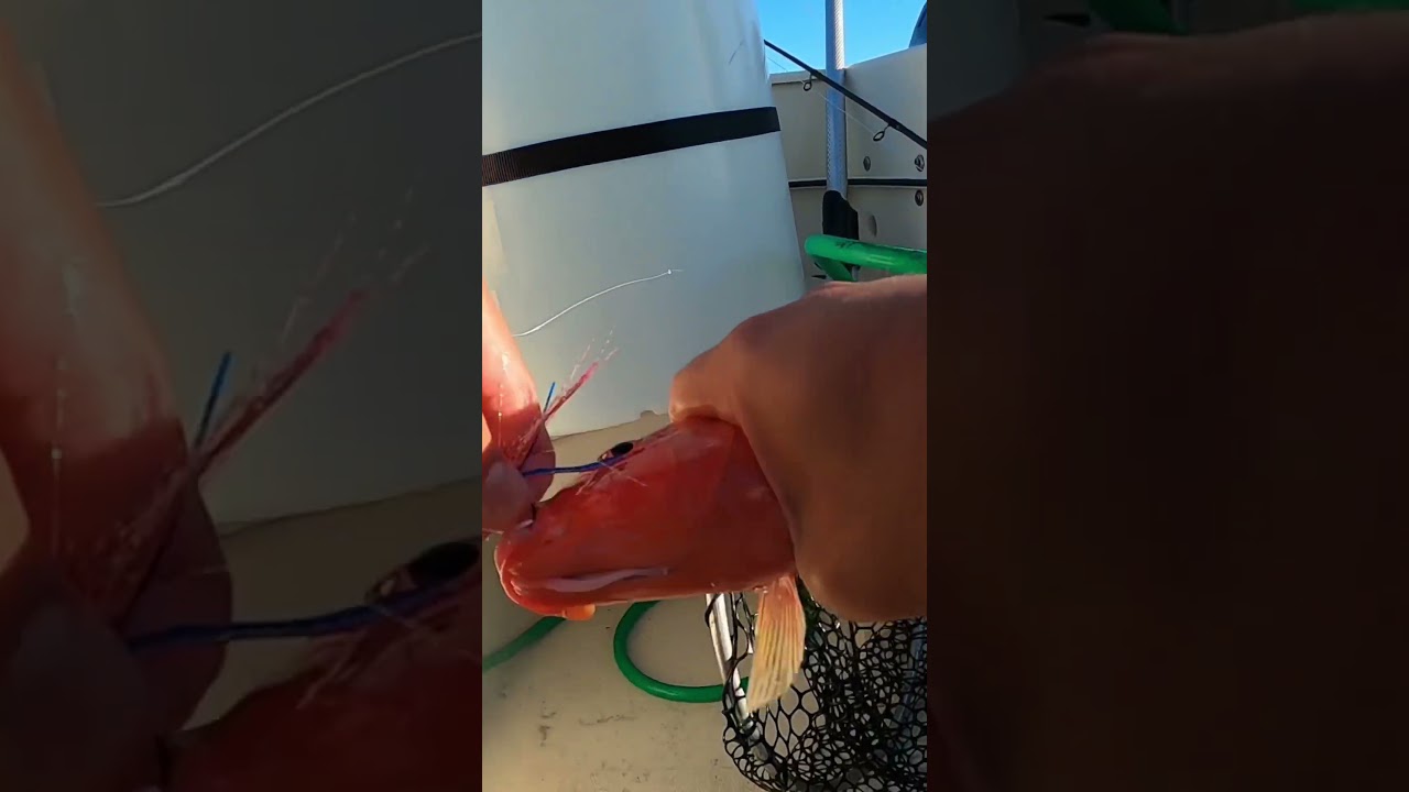 Screamah Flies stick good!