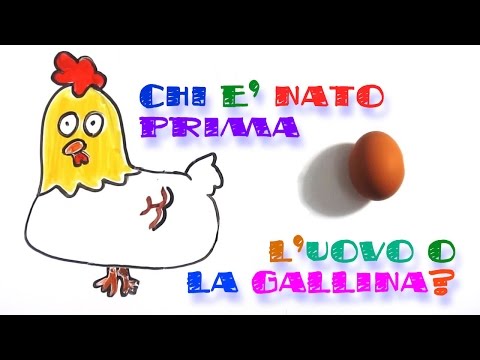 Video: Cosa è Successo Prima: Un Uovo O Una Gallina