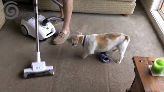 Wertheim W2000 Dog and Cat Vacuum Cleaner