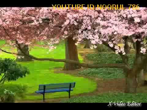 tamil-islamic-song-by:arifeen-vawaladi