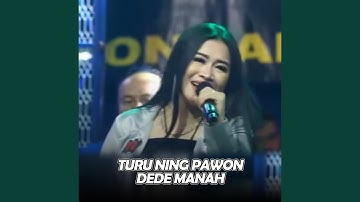 Turu Ning Pawon (Live)