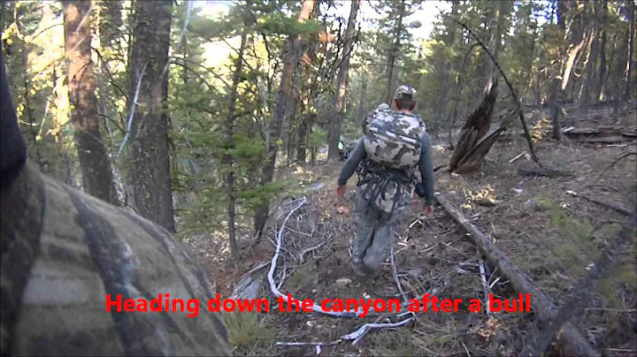 IDAHO 2014 DIY - OTC ELK HUNT