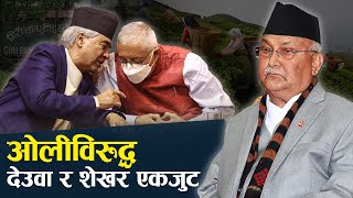 गल्ती स्वीकार्न ओलीलाई आपत्ति किन ? शेखरले भने– ‘धम्कीले डराउँदैनौँ’ -NEWS 24