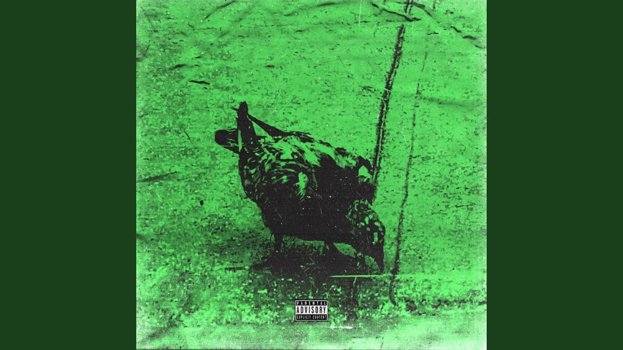 Watch gristle on YouTube Watch gristle on YouTube