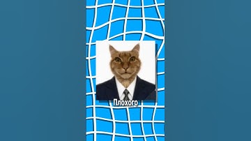 Как улучьшать сжатые фотки с помощью нейросети Fooocus