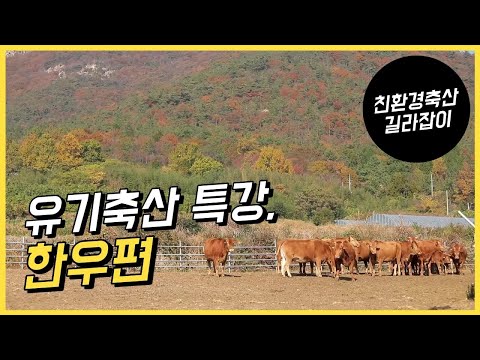 친환경축산 길라잡이 / 유기축산 분야별 특강 / 한우편