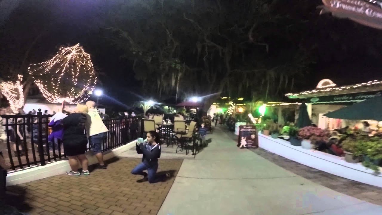 ELSA the Snow Queen MOUNT DORA CHRISTMAS TREE LIGHTING CEREMONY 1 YouTube