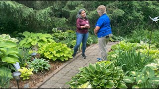 Jackie's Hosta Bed | Selecting and Growing Hostas | Prairie Yard & Garden 3703