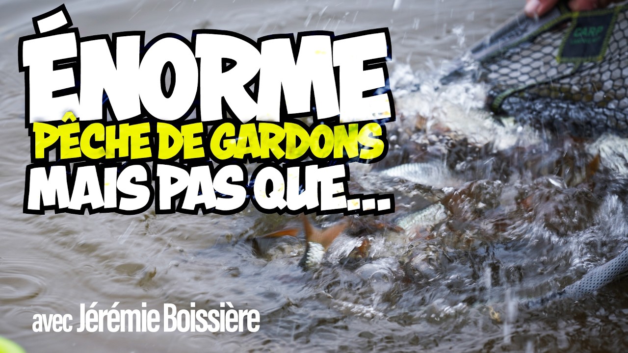 Énorme pêche de Gardons ! Mais pas que... avec Jérémie Boissière